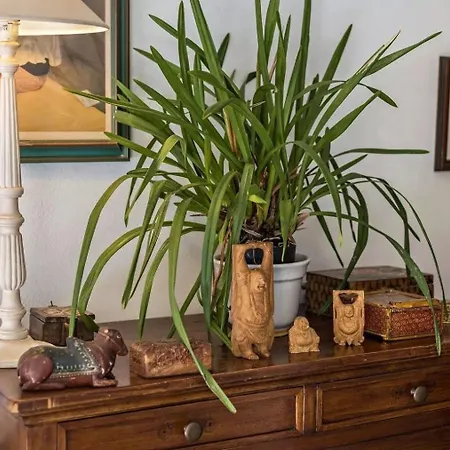 In Mit Garten Und Whirlpool